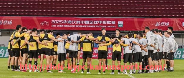 ky开云体育-德甲阵营有哪些球队构成？德国顶级联赛结构详解